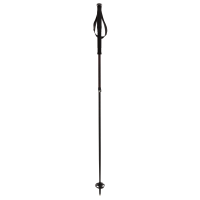 Гірськолижні палиці для скітуру Volkl Touristick CC
