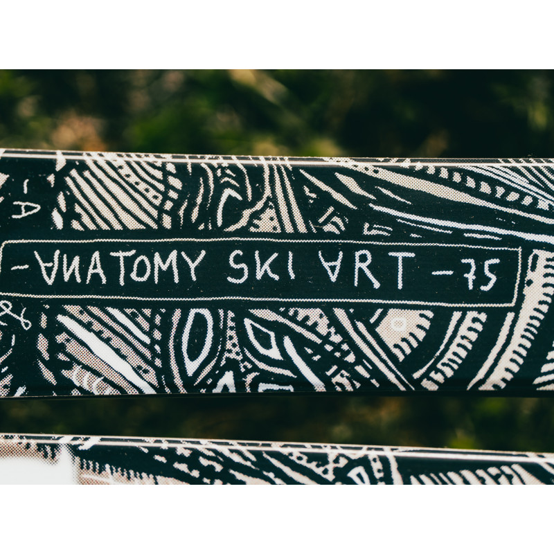 Гірські лижі Völkl Revolt 96 2027